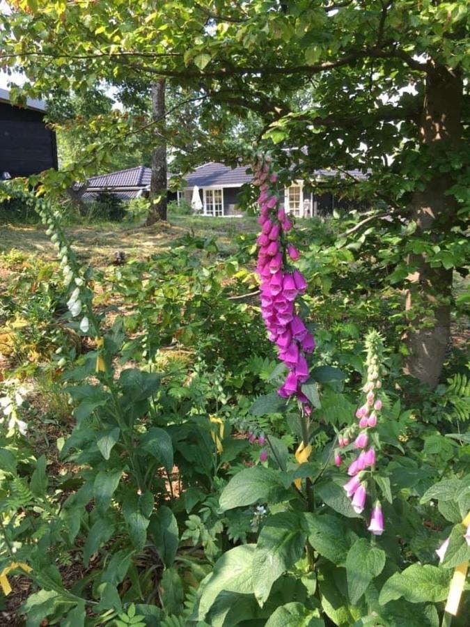 Backahusets B&B Höör Екстериор снимка